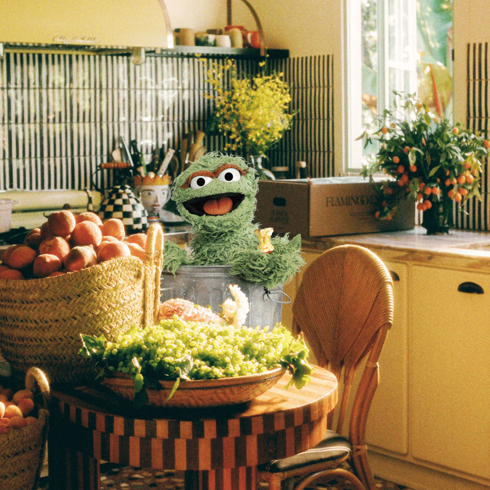 Flamingo Estate x Sesame Street