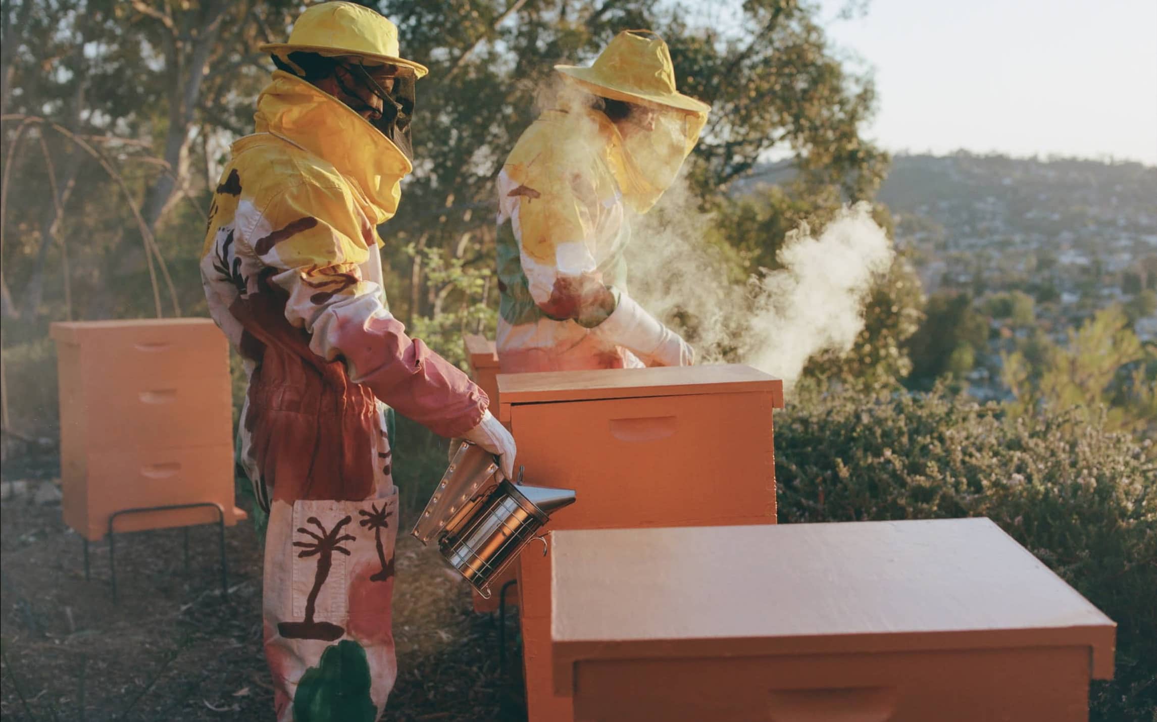 24% Off Honey – Code: BEEYONCE