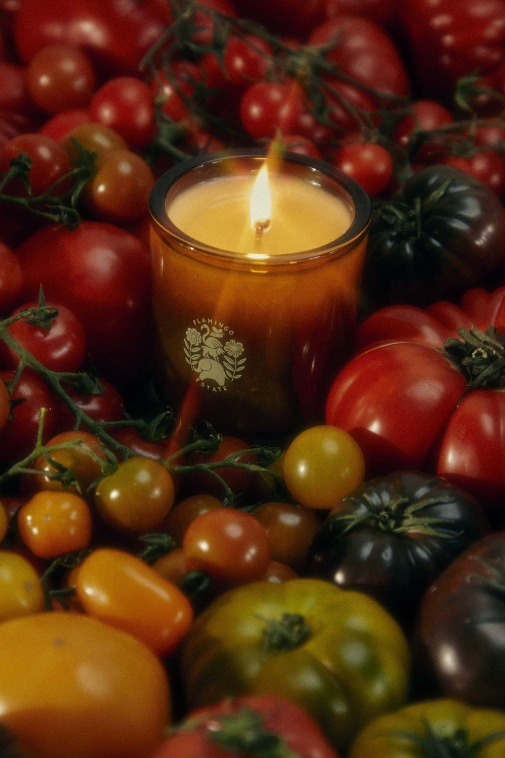 A lit candle sits among various colorful tomatoes.