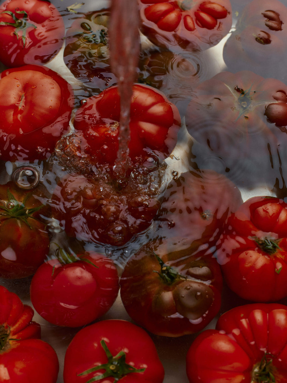 Fresh red tomatoes are being washed under running water.