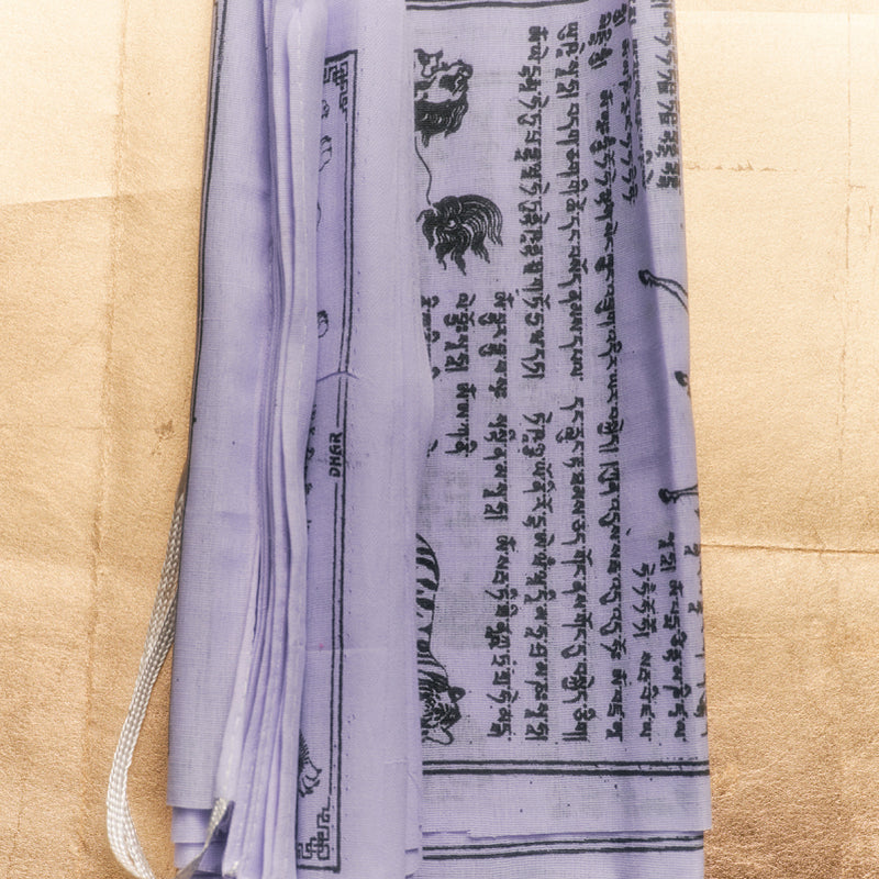 Seasonal Subscription Box - Flamingo Estate