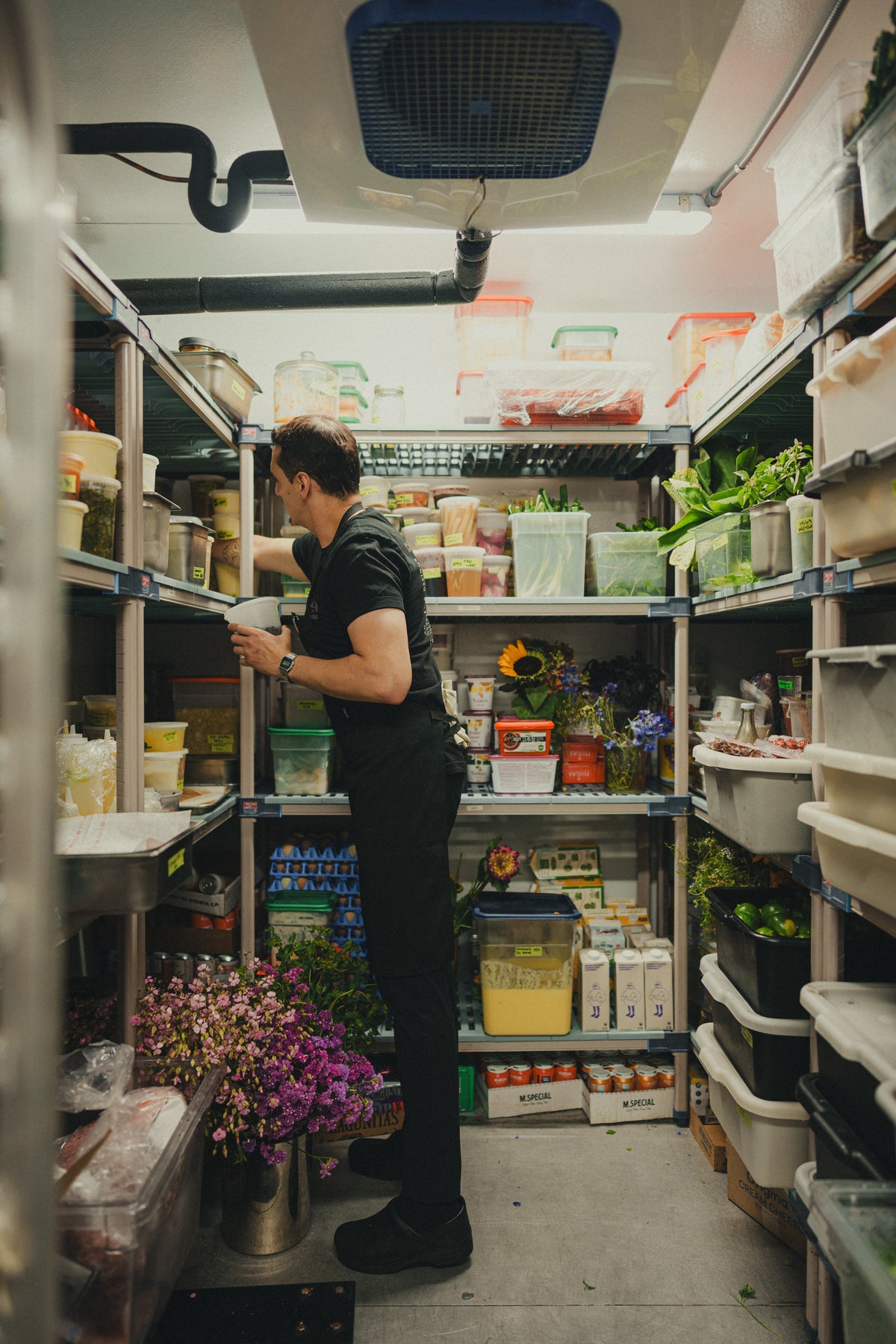 The Regenerative Farm Box