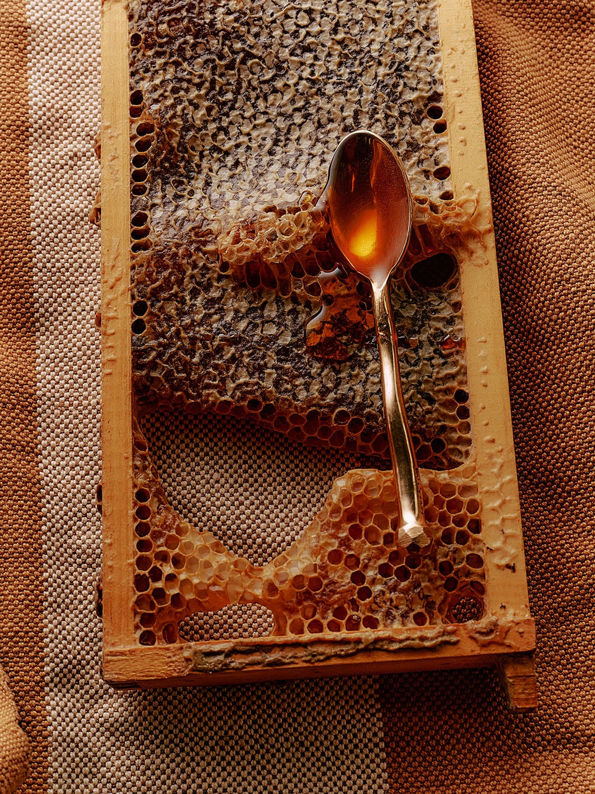 A honeycomb frame with a silver spoon resting on it.