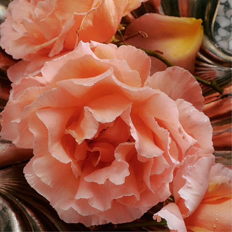 Jasmine Damask Rose Soap Brick - Flamingo Estate