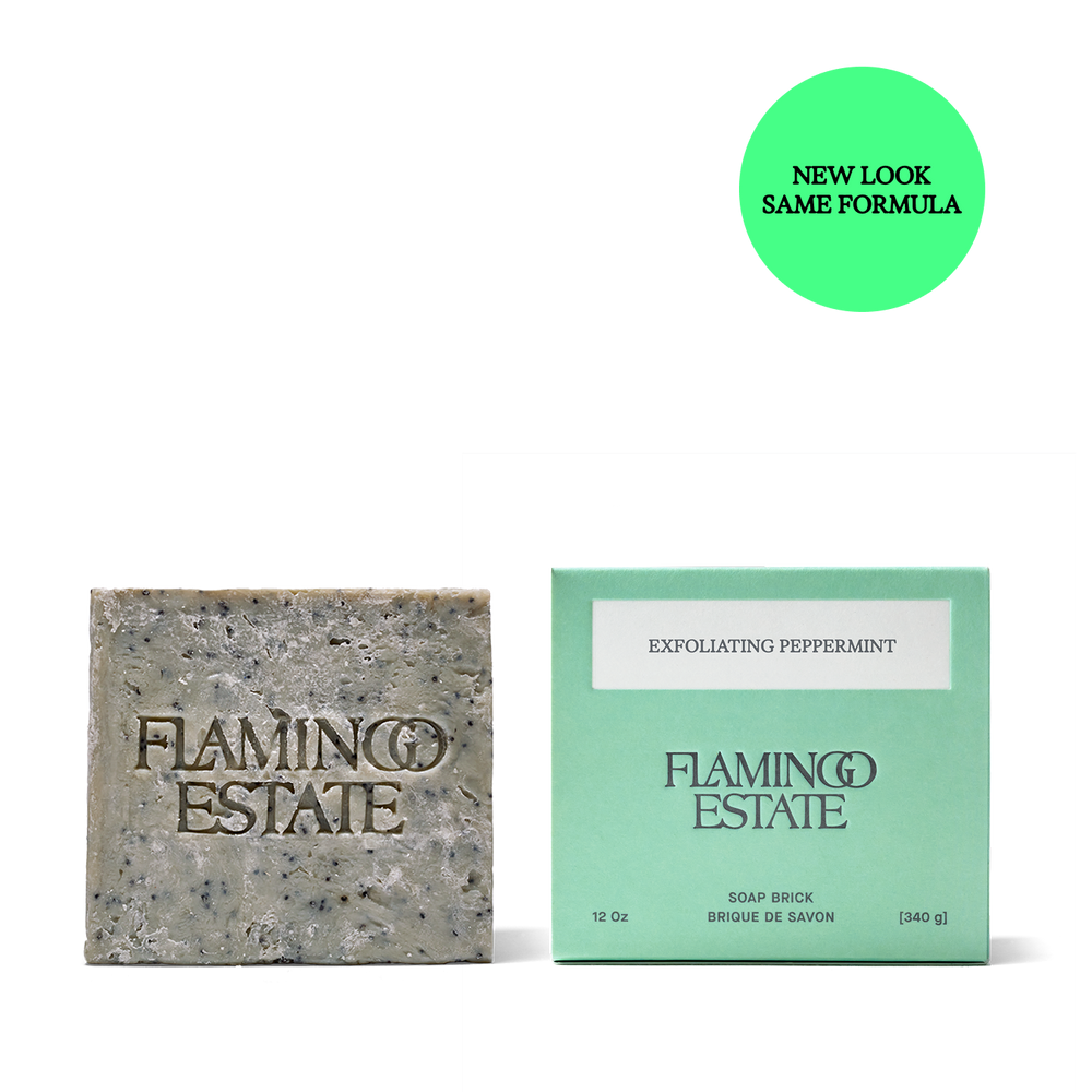 Exfoliating Peppermint Soap Brick - Flamingo Estate