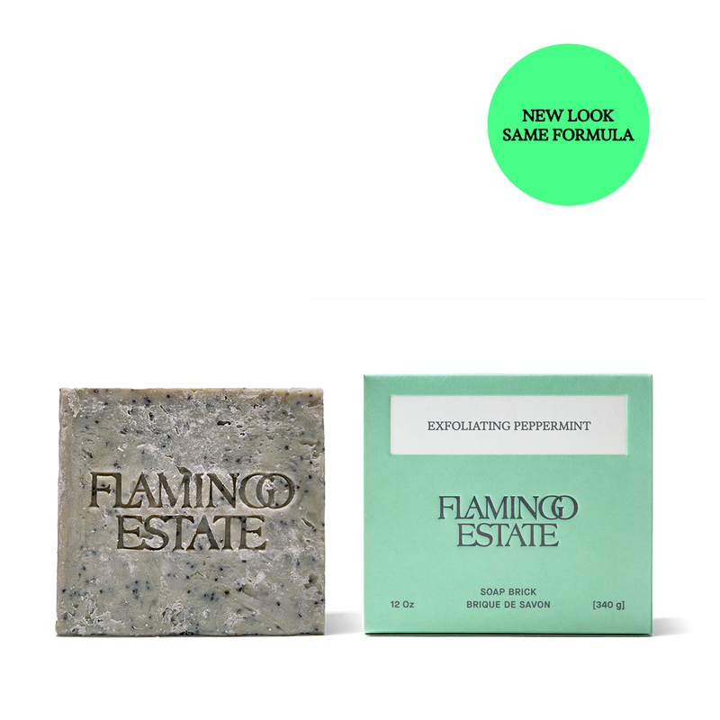 Exfoliating Peppermint Soap Brick - Flamingo Estate