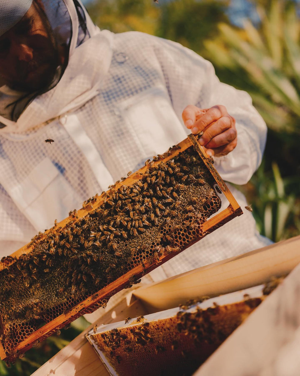 Richard’s Essentials Set