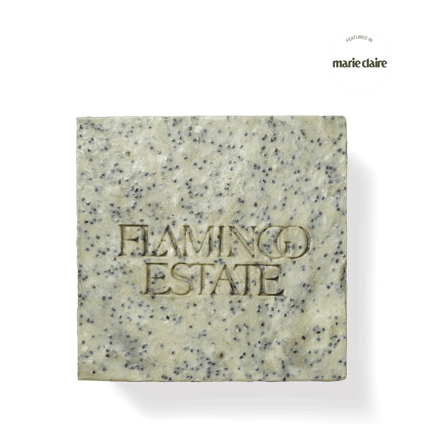 Exfoliating Peppermint Soap Brick main image 1