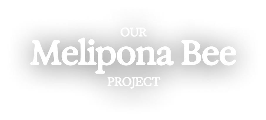 Our Melipona Bee Project