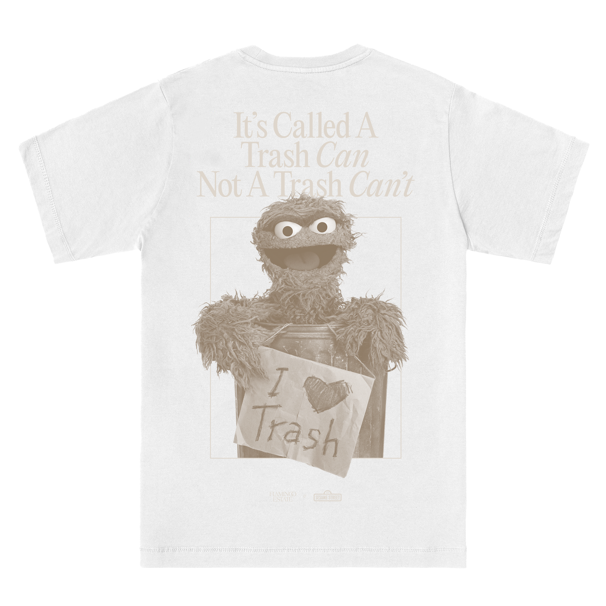 Sesame Street Boxy Tee Flamingo Estate