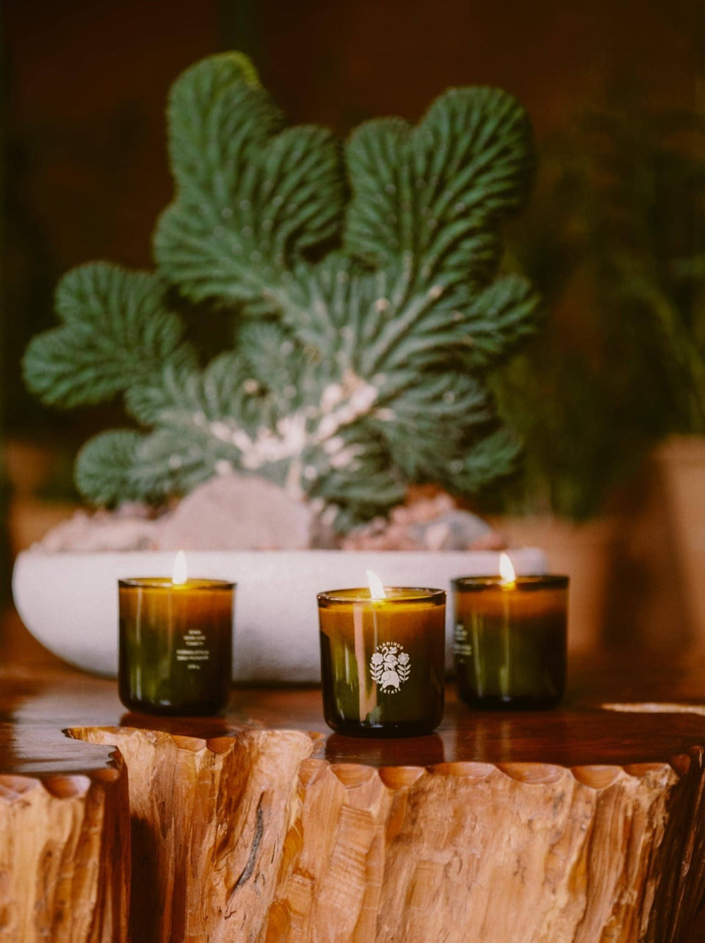 Three Brothers Candle Set - Flamingo Estate