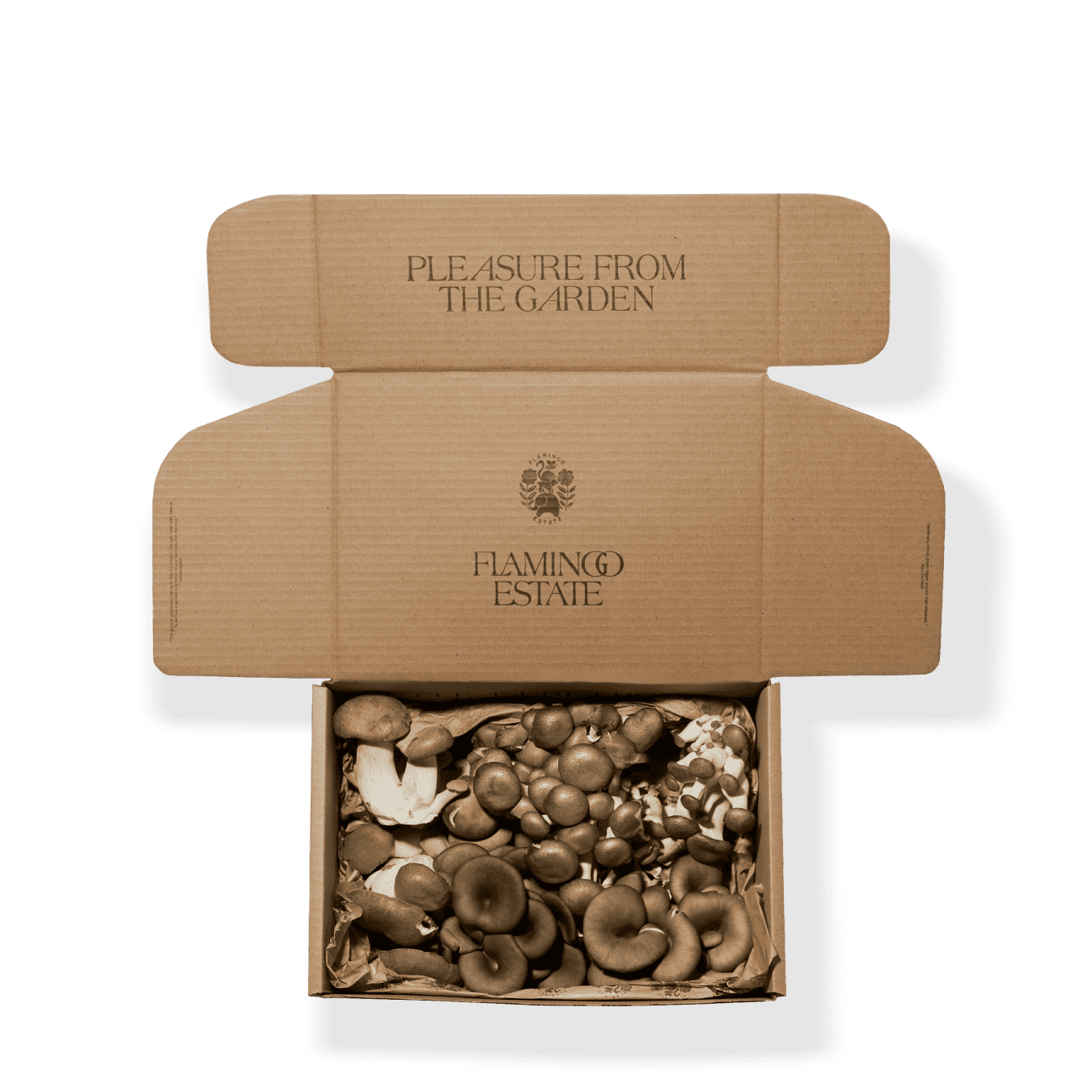 Fresh Shiitake Box – The Garden International
