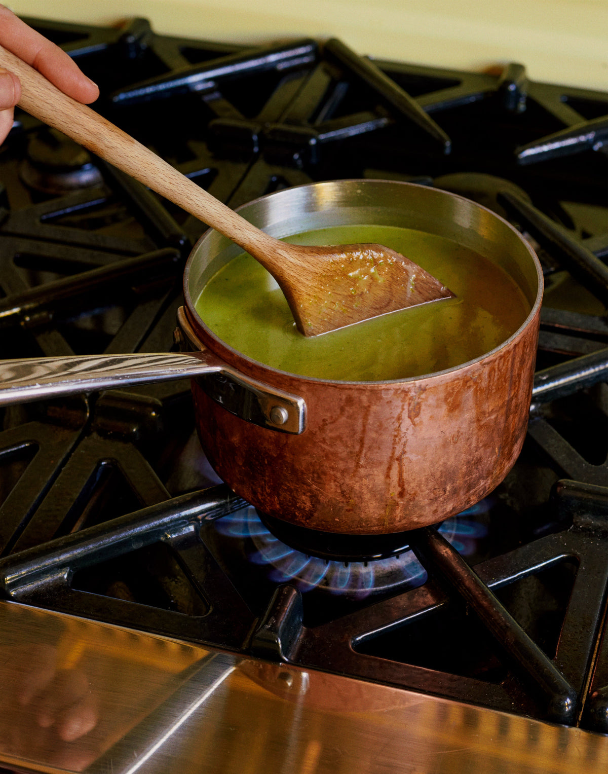 Spring Garlic Soup – Flamingo Estate