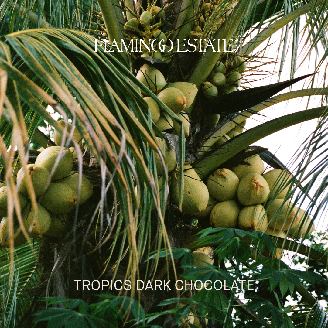 Sounds: Tropics Dark Chocolate