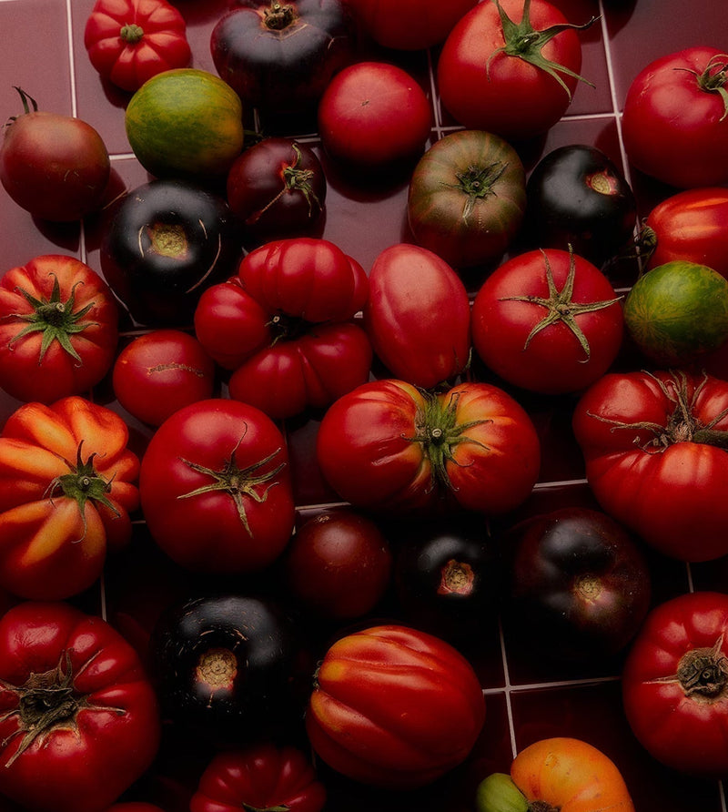 From Wick to Ritual: Gifting Meaning Through Scent