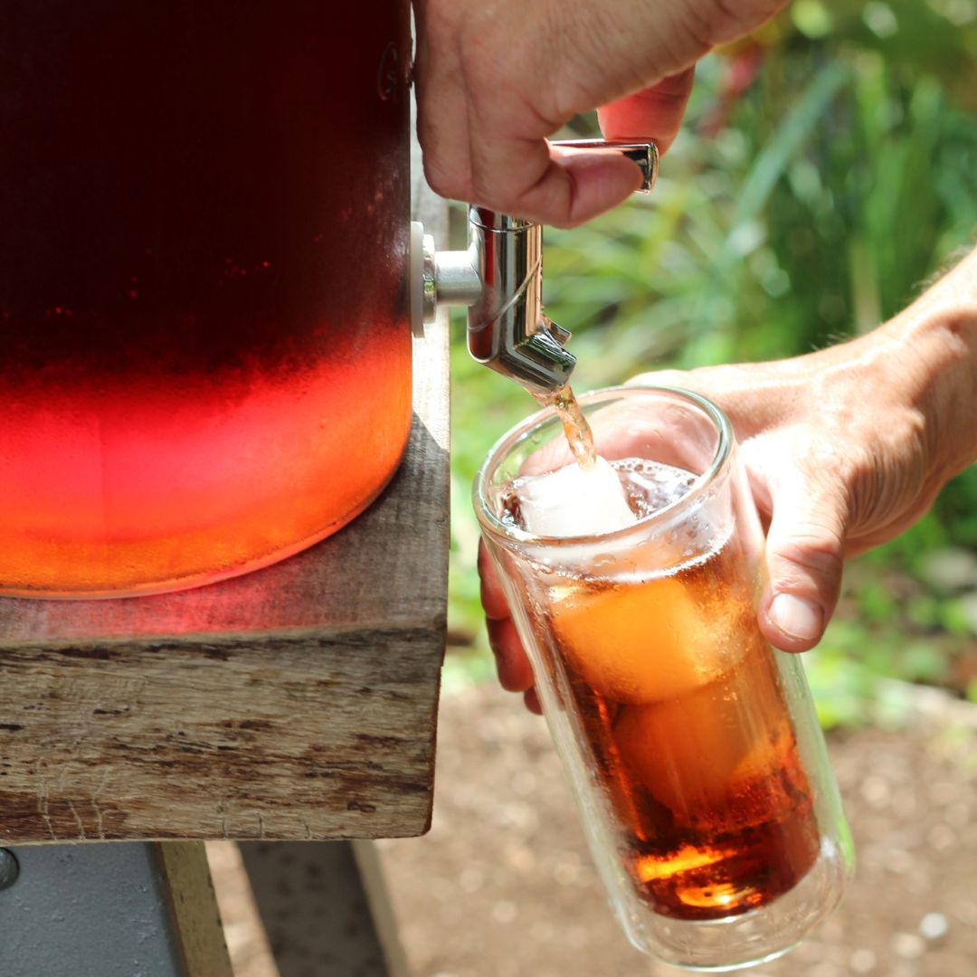 Brewing Past, Present, and Future Vitality in Maui – Flamingo Estate