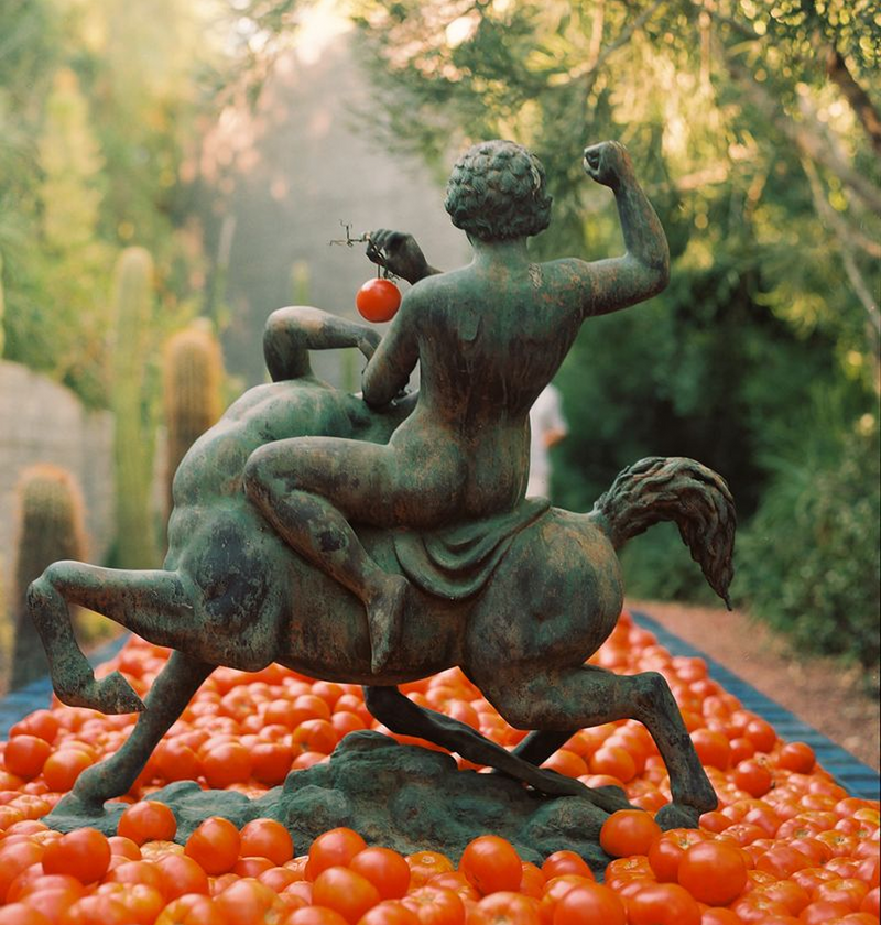 Luxury Gifting for Every Occasion – Flamingo Estate