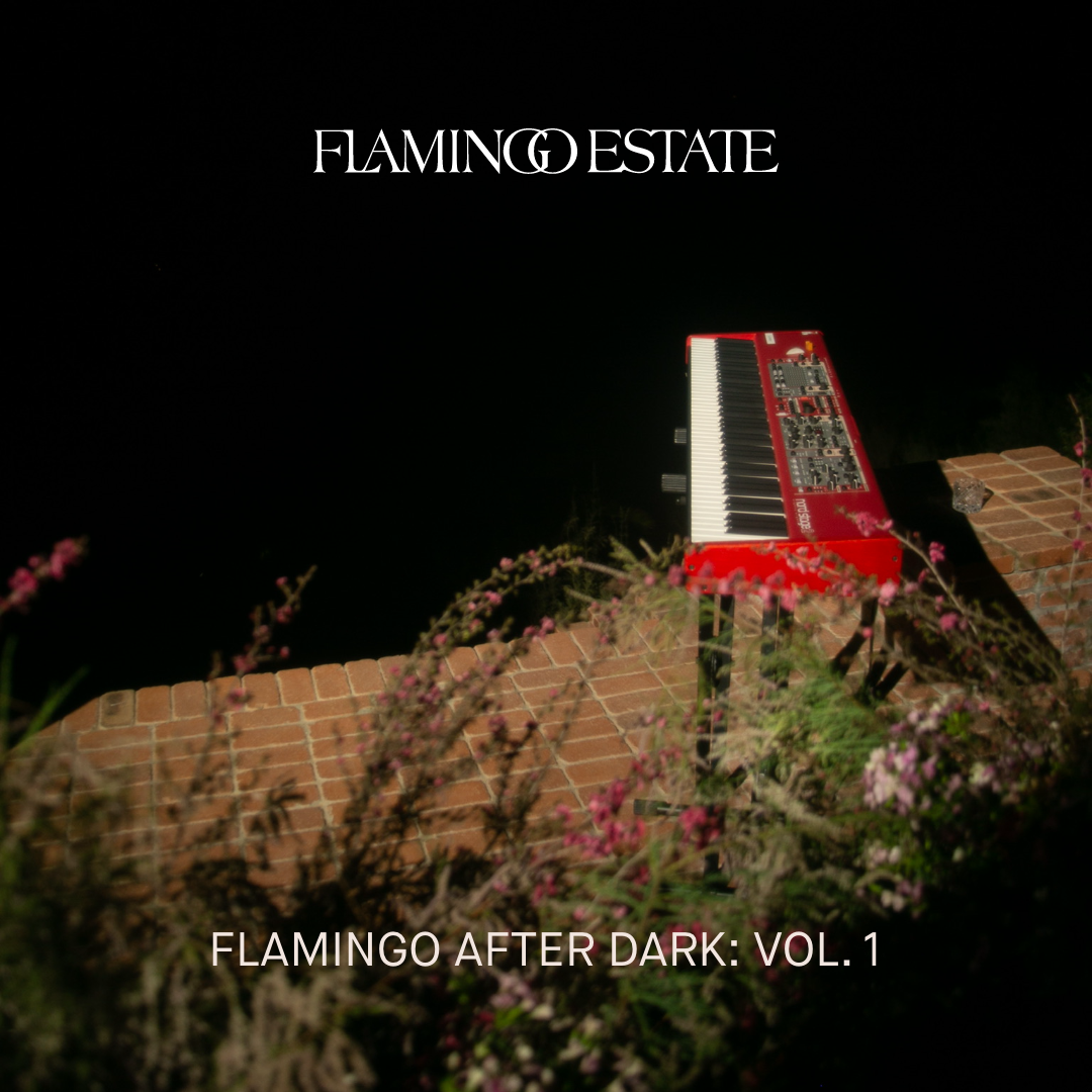 Sounds: Flamingo After Dark: VOL 1