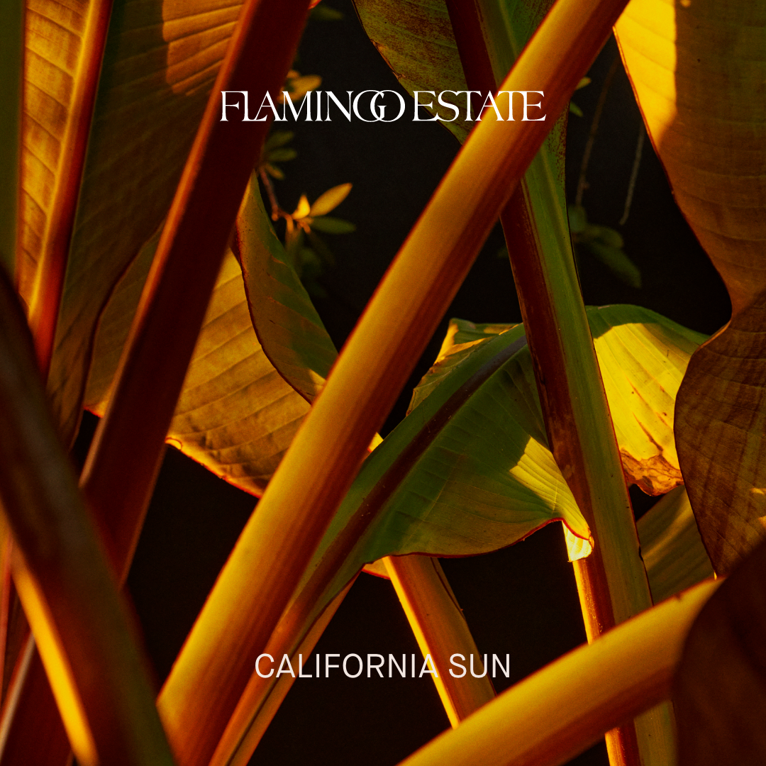 Sounds: California Sun