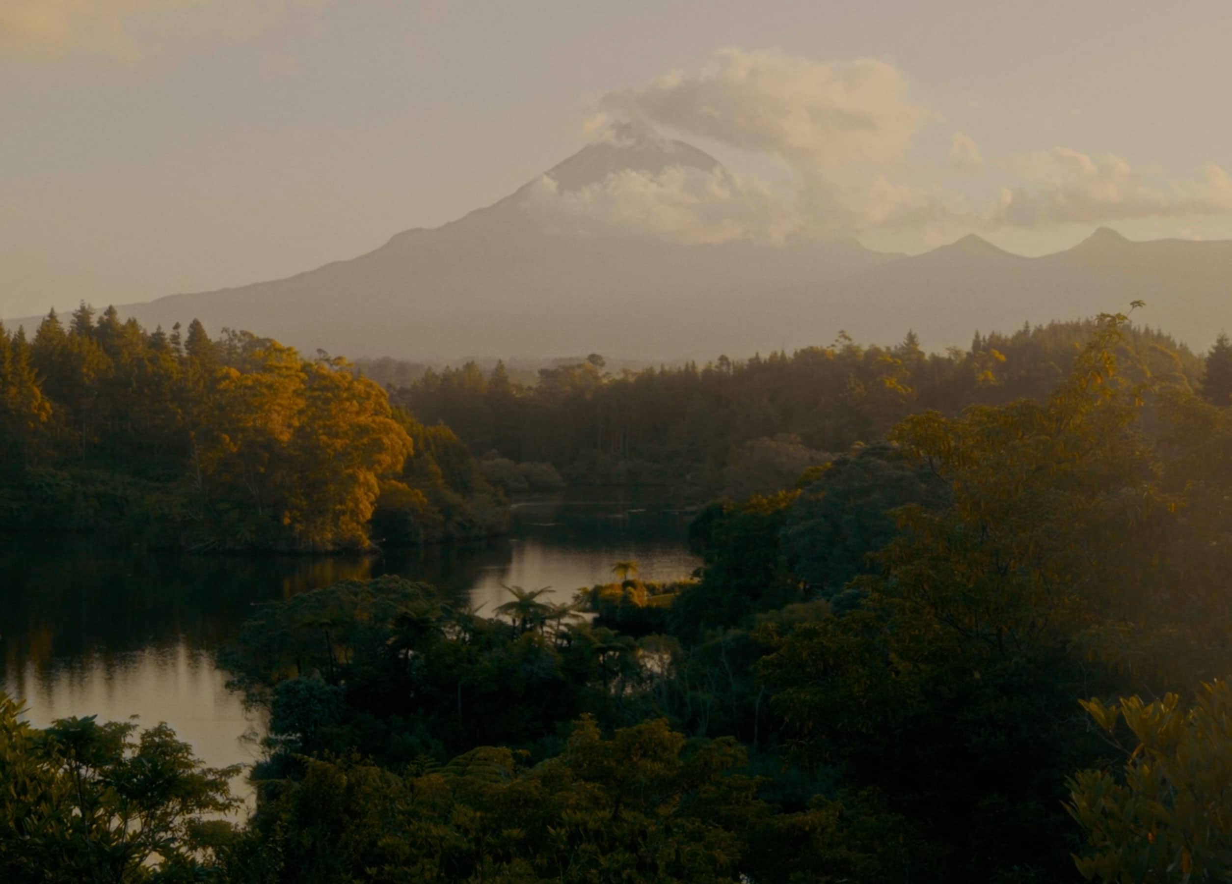 Manuka Honey Harvest from New Zealand’s Mount Taranaki