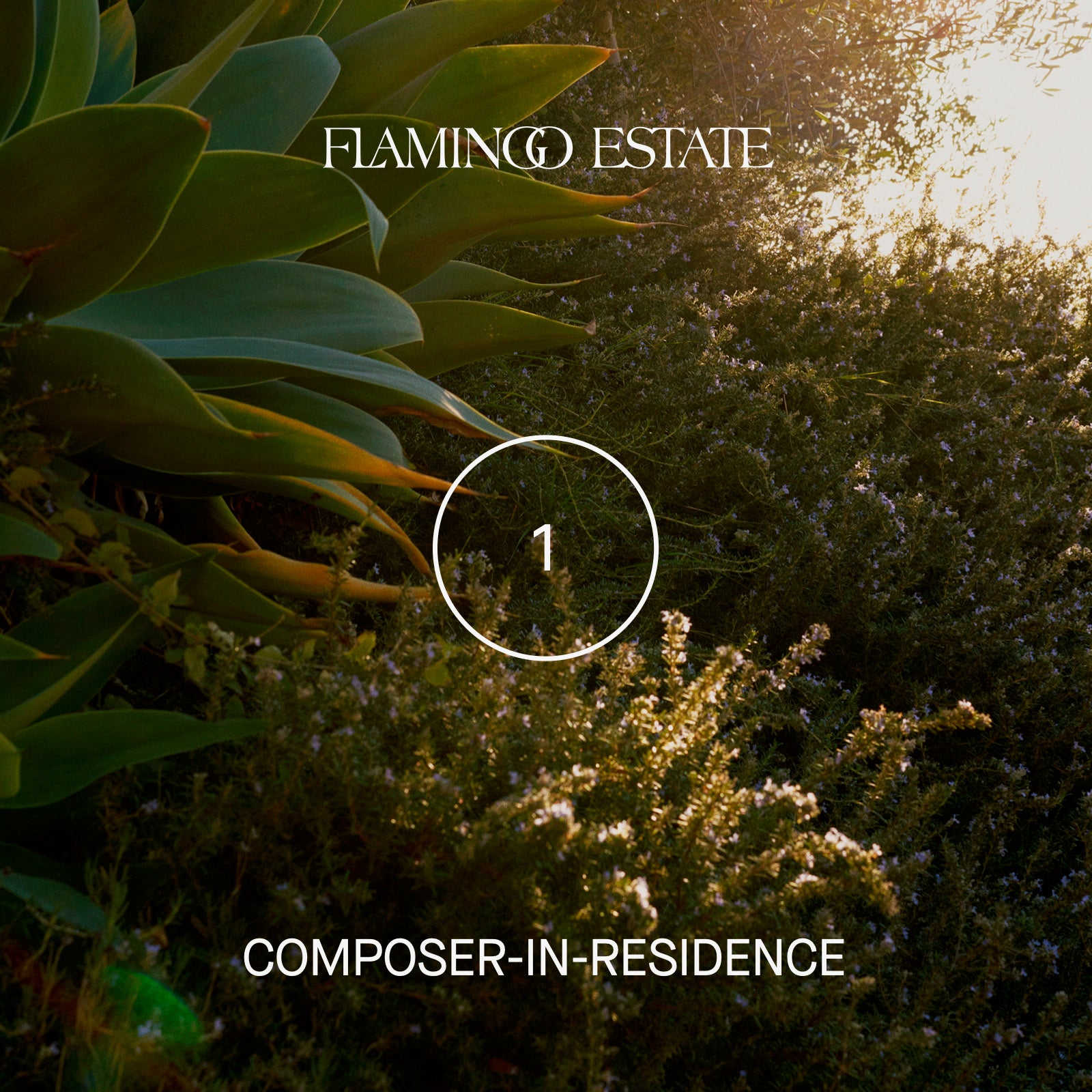 Summer Solstice Flamingo Estate