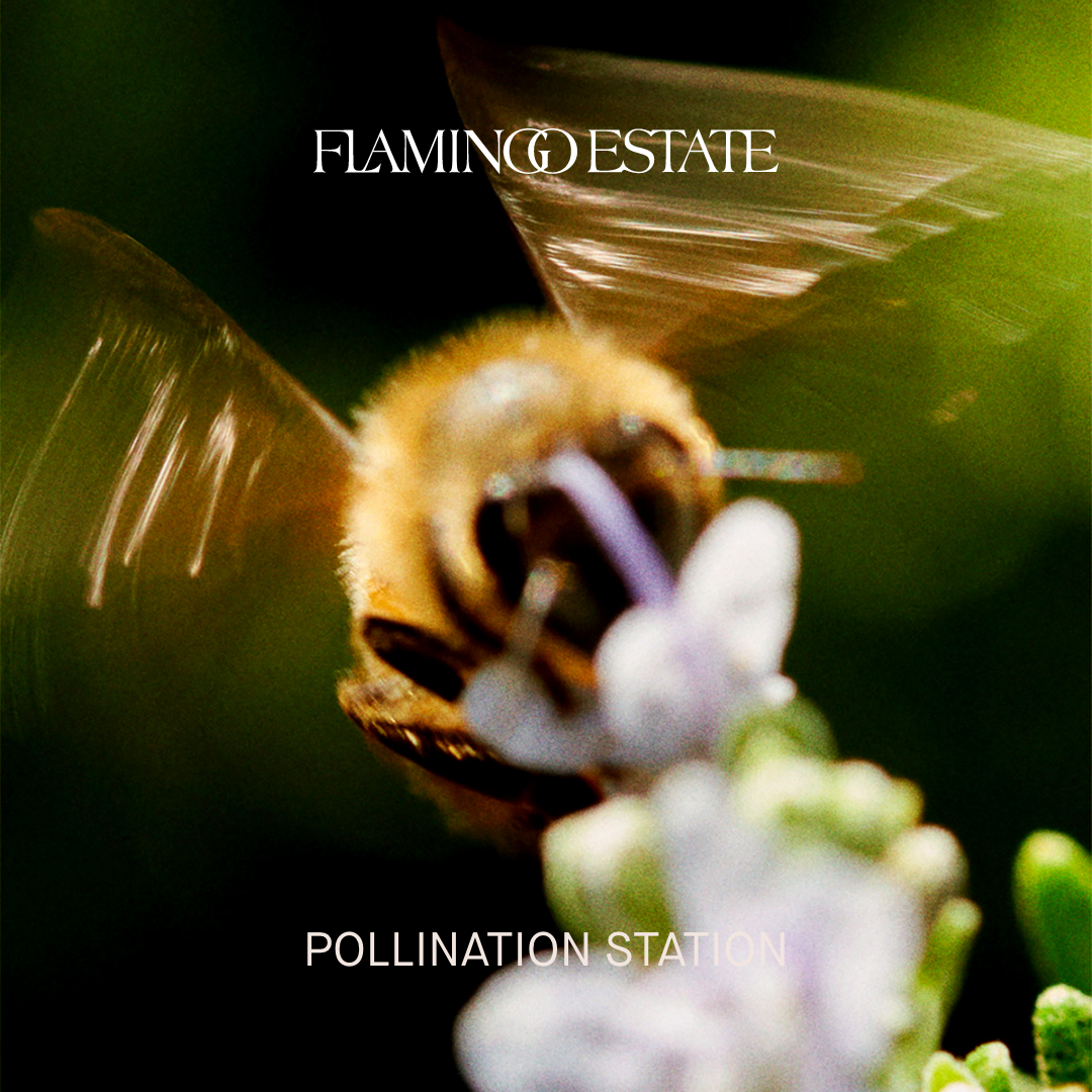 Sounds: Pollination Station