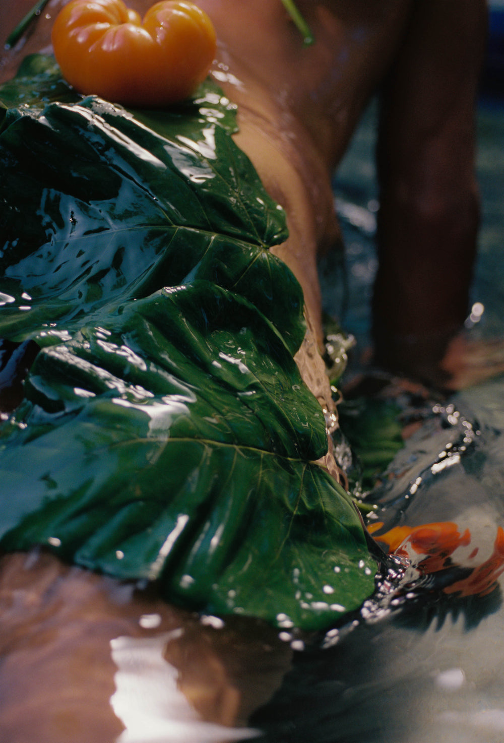 Heirloom Tomato Glass Hand Soap
