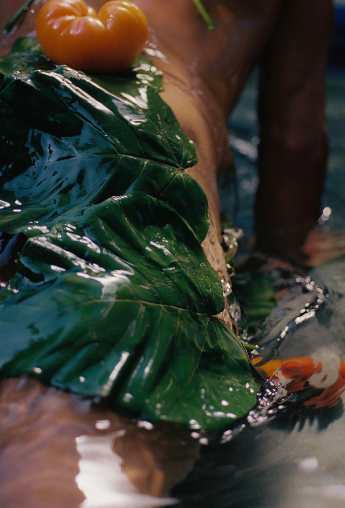 Heirloom Tomato Glass Hand Soap