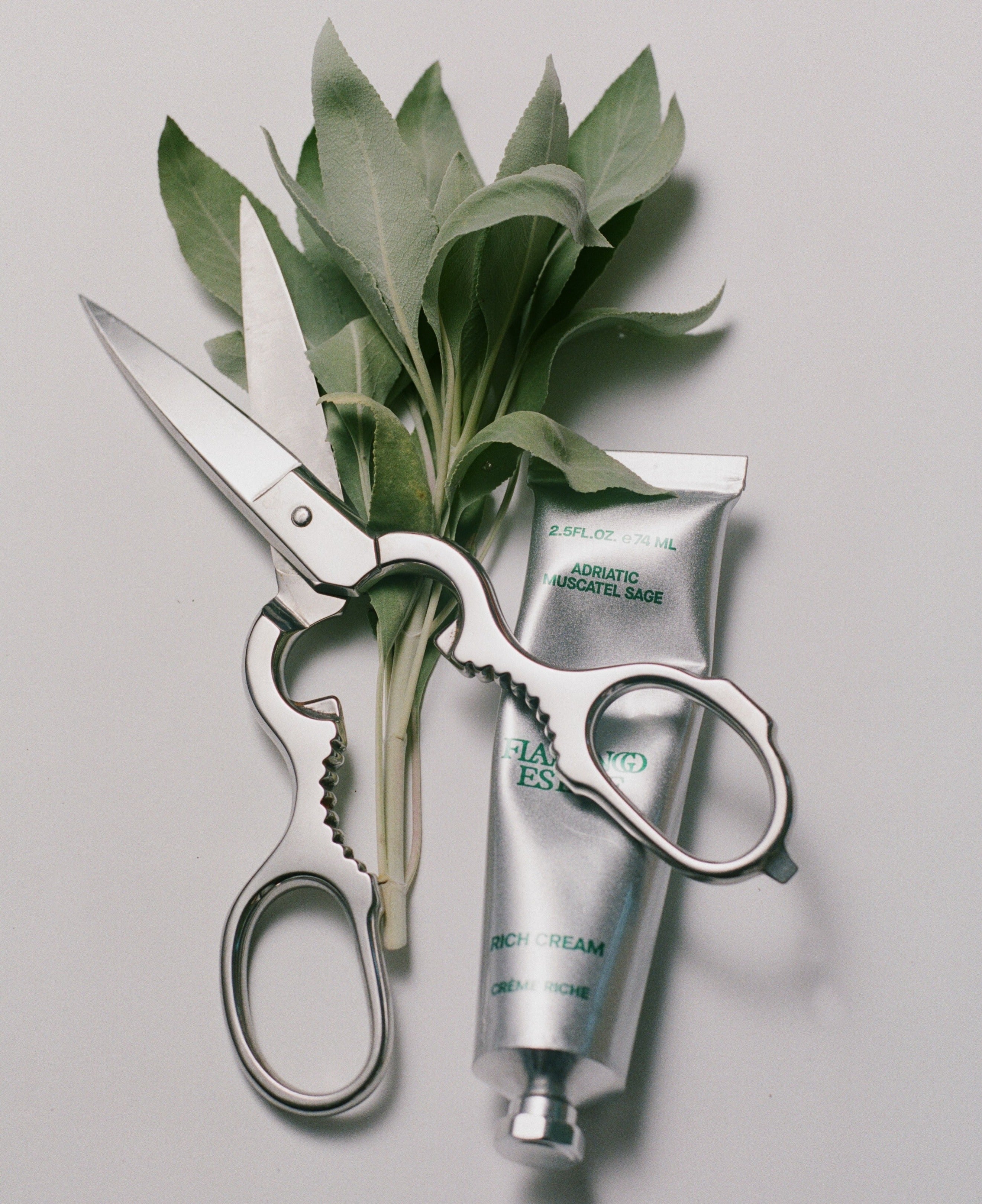Sage Rich Cream for Hands & Feet – Flamingo Estate
