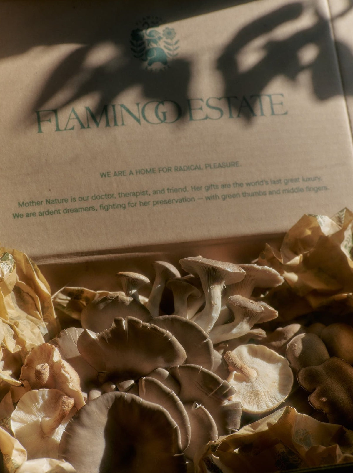 Mushrooms rest on crinkled paper inside a Flamingo Estate box.