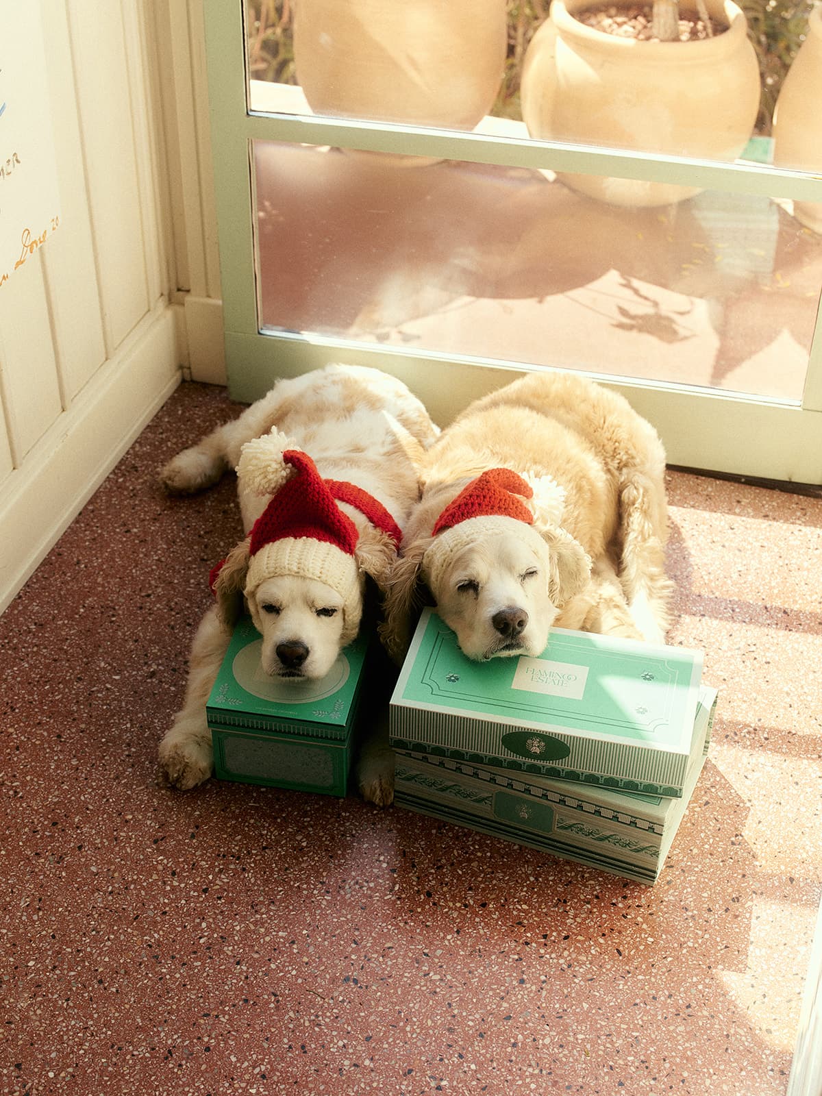 The Guide To Becoming Alive Dog Toy