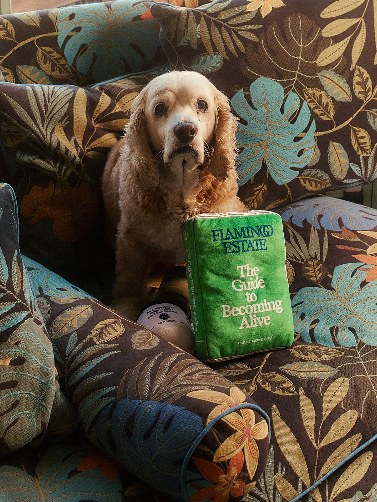 The Guide To Becoming Alive Dog Toy