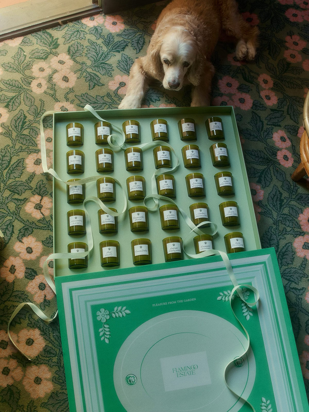 Personalized Spring Bonfire Set