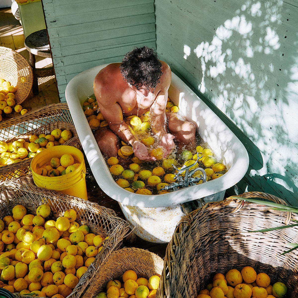 Person scrubbing lemons in a bathtub surrounded by baskets of lemons.