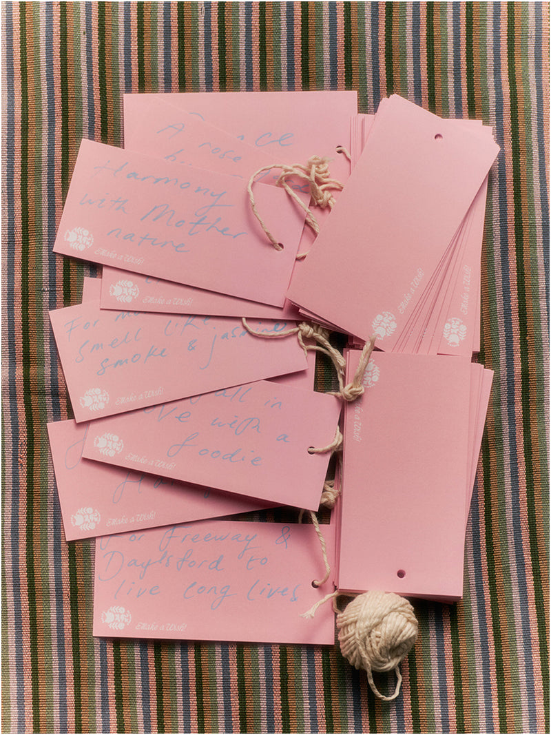 <p>WISHING ORNAMENTS</p>