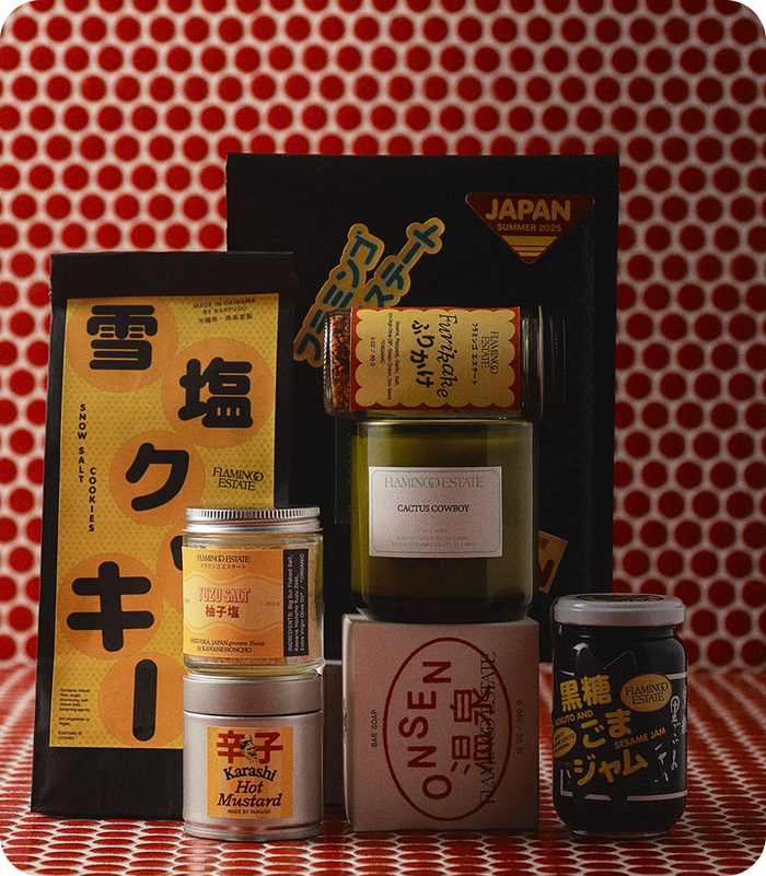 A Trip To<br> Japan