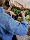 The Regenerative Farm Box