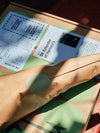 The Regenerative Farm Box