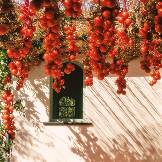 A <i>Summer</i> Garden, Kissed by <i>Tomato</i> Leaves.