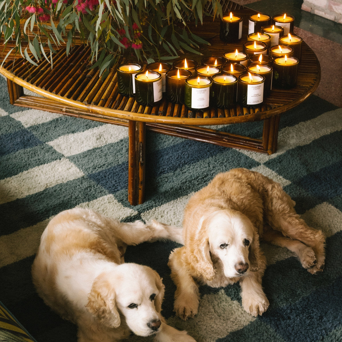 Candle Scent Discovery Set - Flamingo Estate