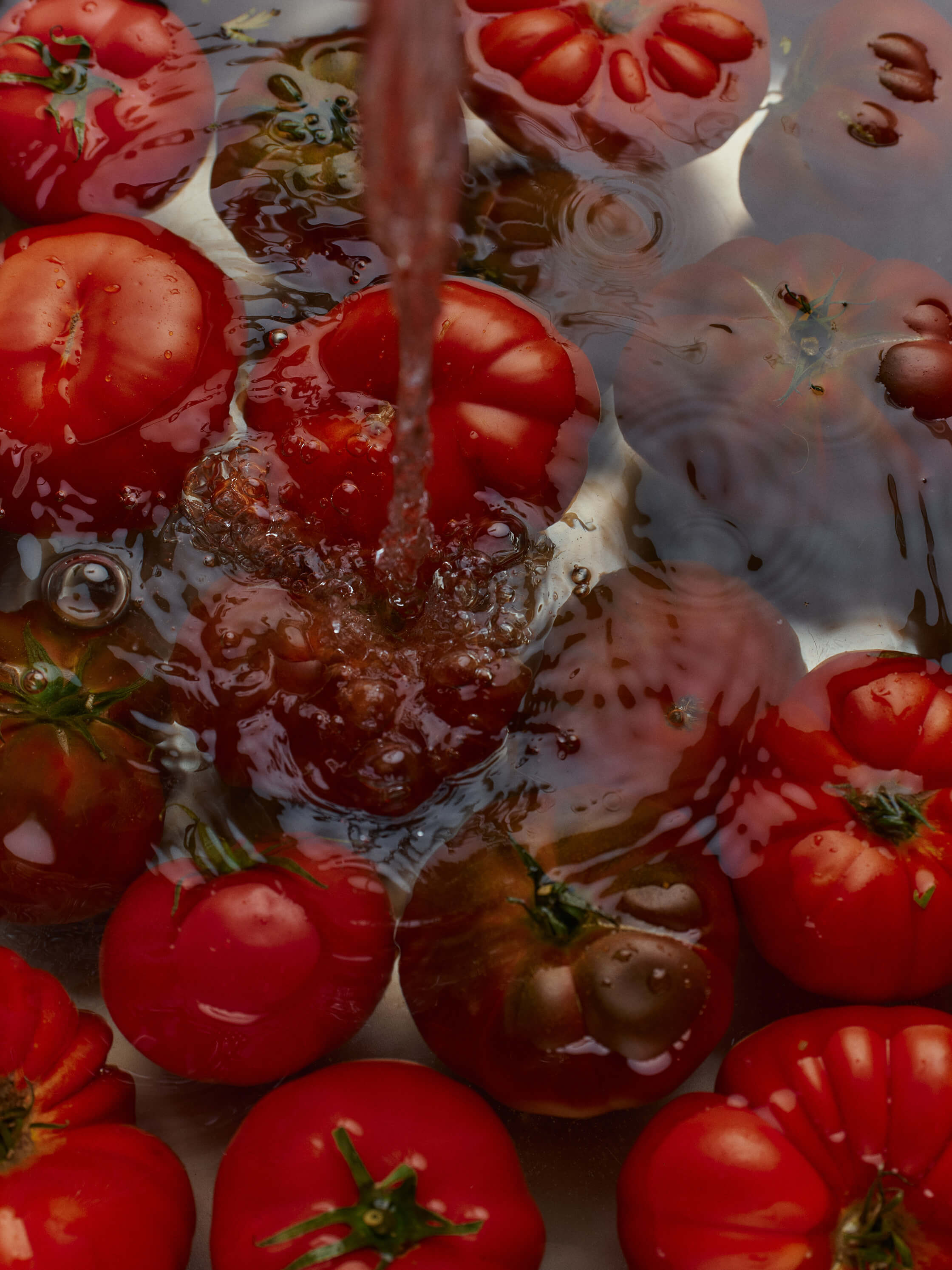 Heirloom Tomato Hand Soap