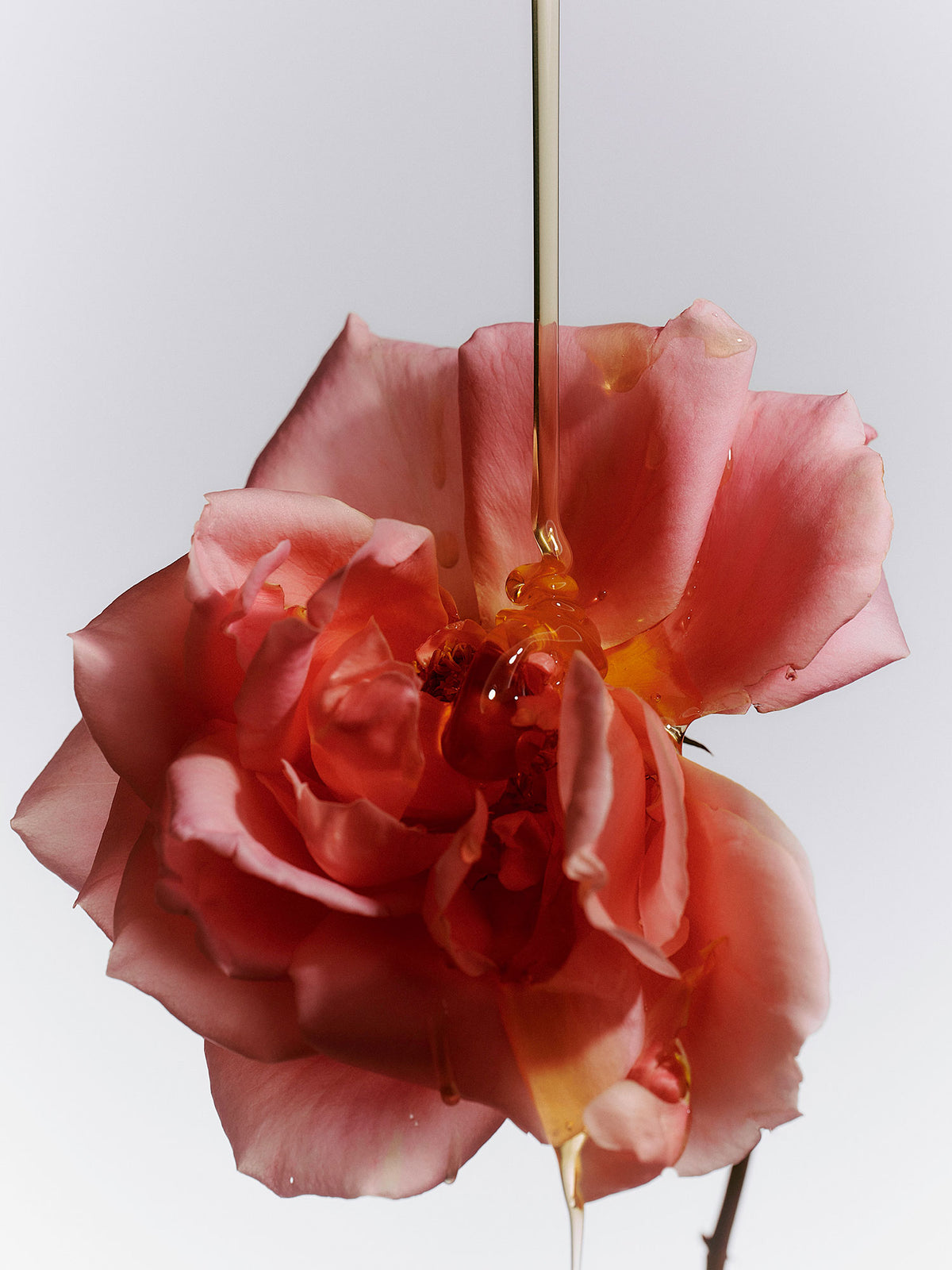 Jasmine Damask Rose Hand Soap - Flamingo Estate