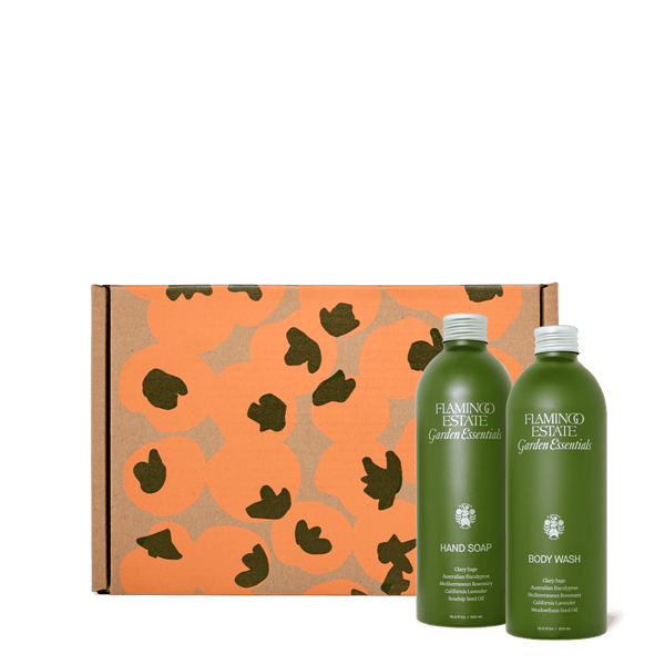 Buy Libertina - Desire Sea Green Colour Non Padded Comfortable