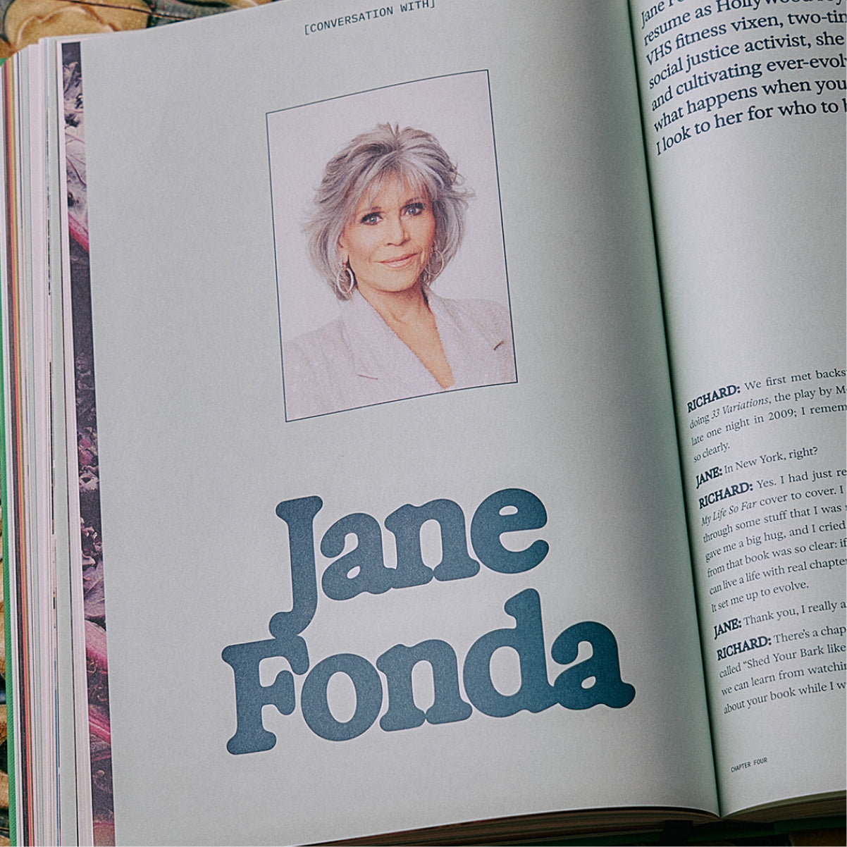 The Guide to Becoming Alive - Flamingo Estate