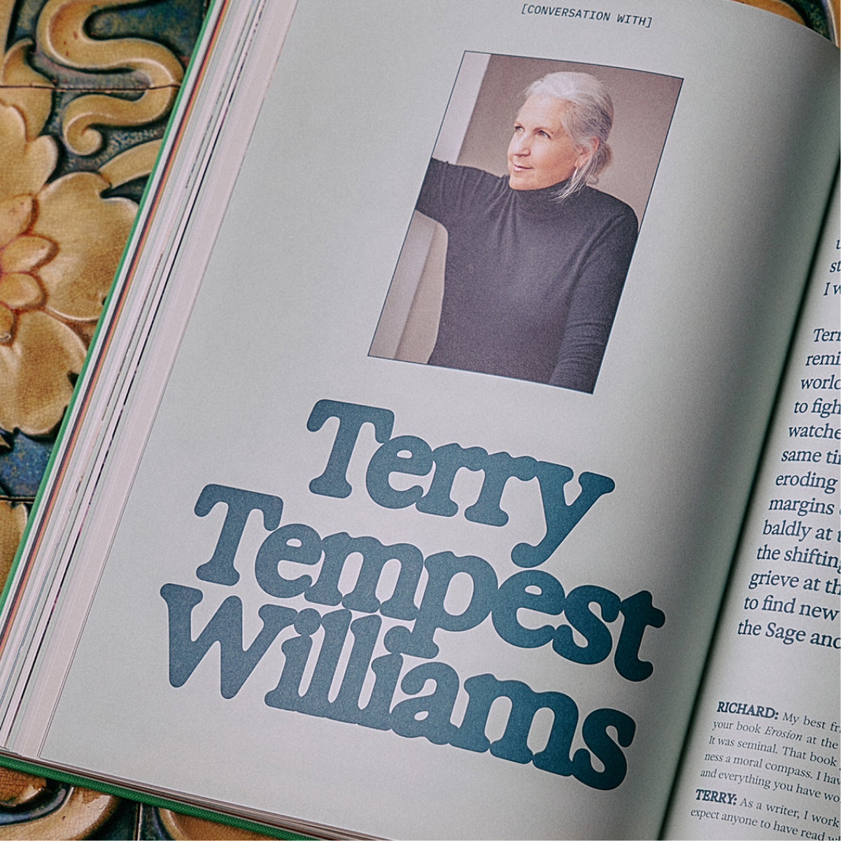 The Guide to Becoming Alive - Flamingo Estate