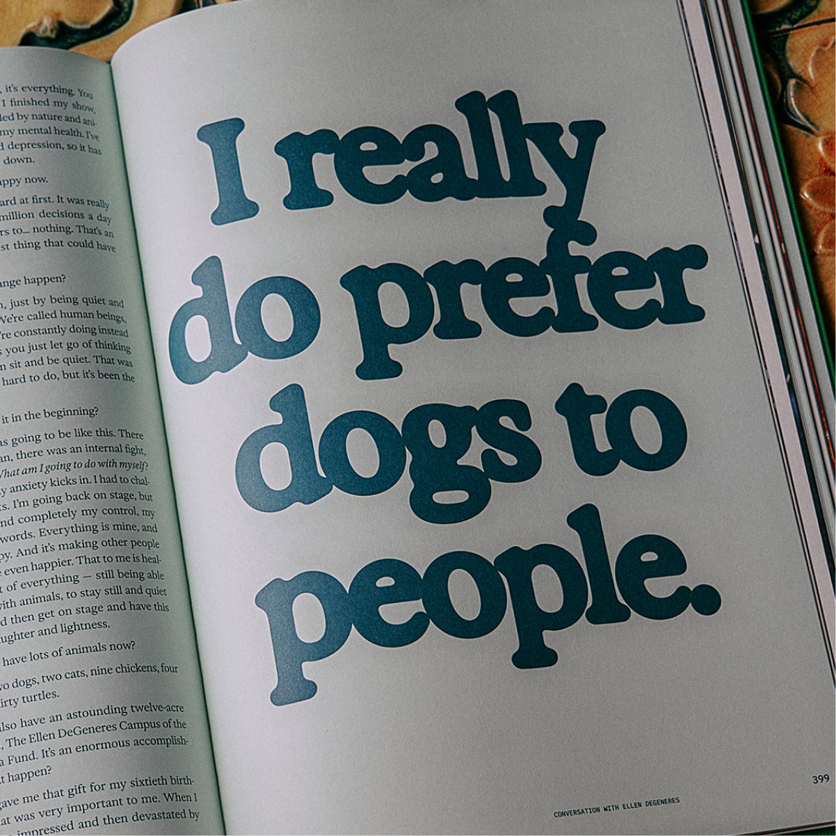 The Guide to Becoming Alive - Flamingo Estate