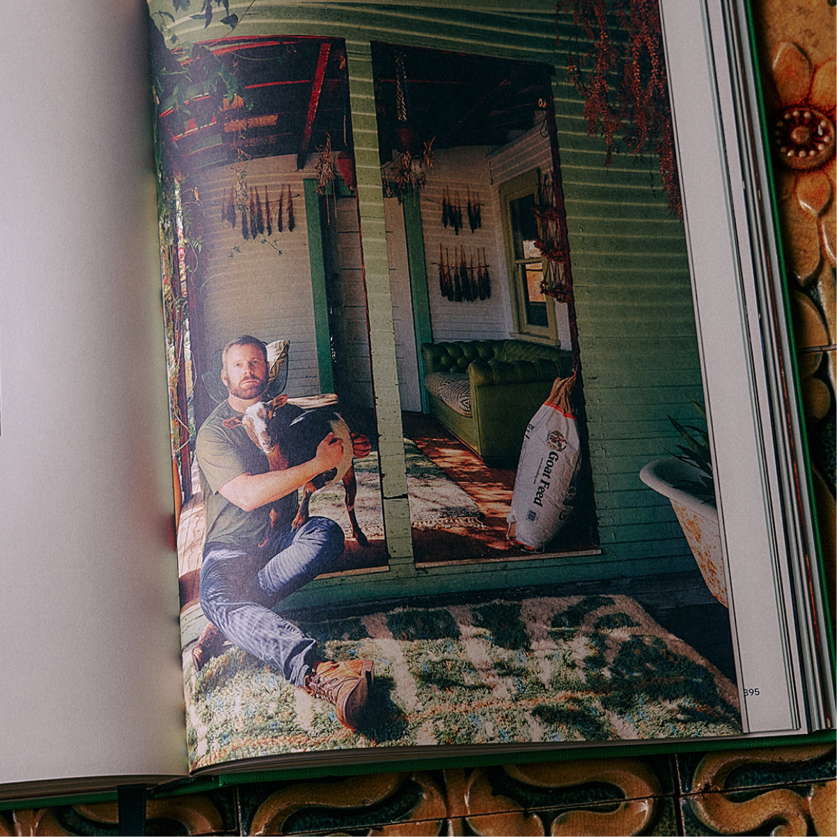 The Guide to Becoming Alive - Flamingo Estate