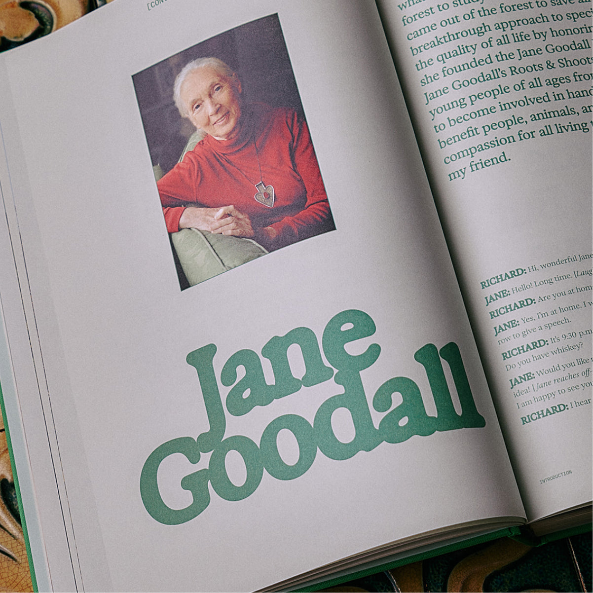 The Guide to Becoming Alive - Flamingo Estate