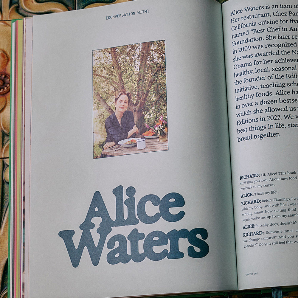 The Guide to Becoming Alive - Flamingo Estate