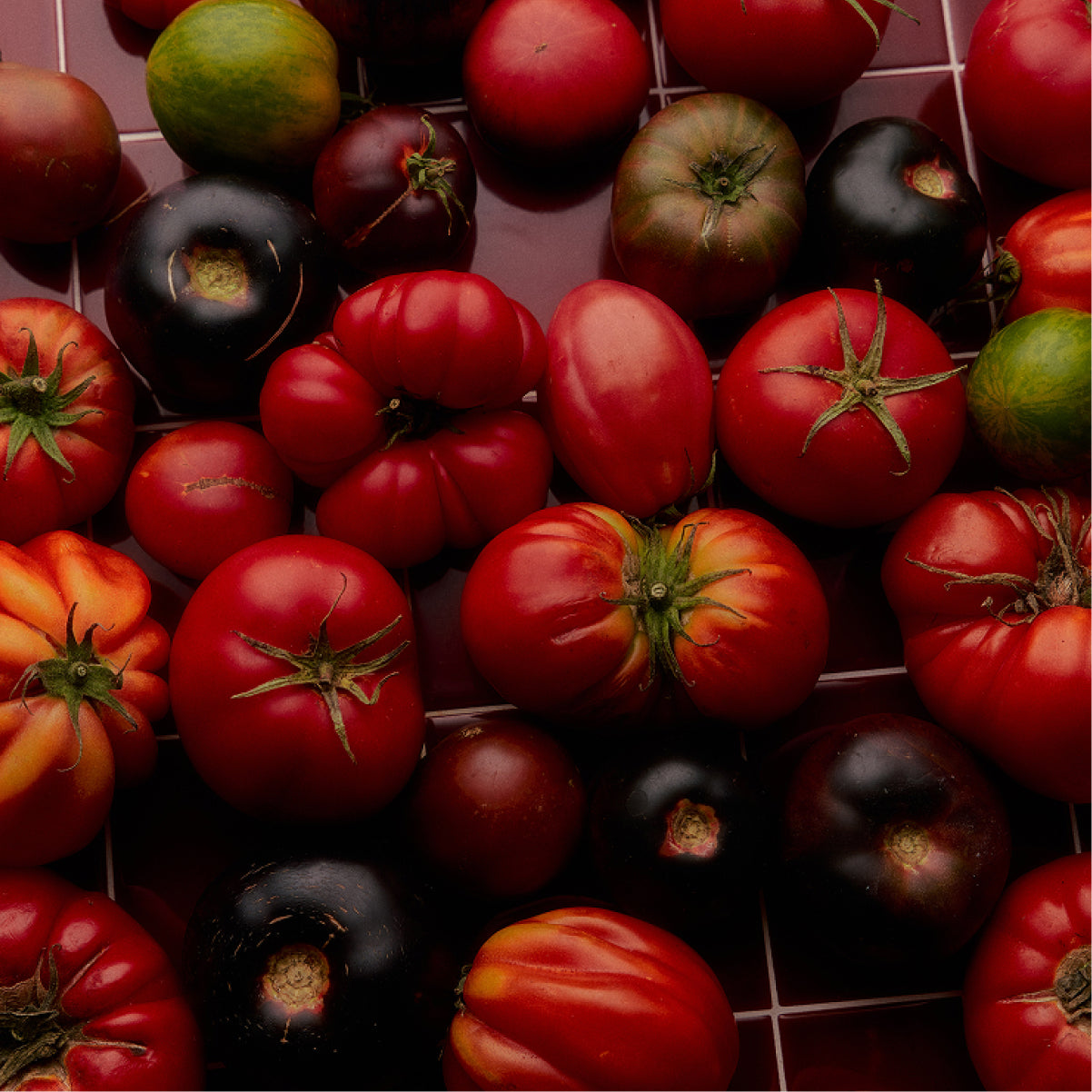 Personalized Heirloom Tomato XL Candle - Flamingo Estate